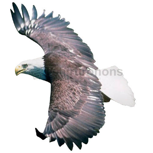 Eagle T-shirts Iron On Transfers N5501 - Click Image to Close